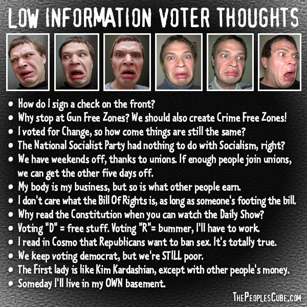 low-information-voter-thoughts | We are the drain the swamp people